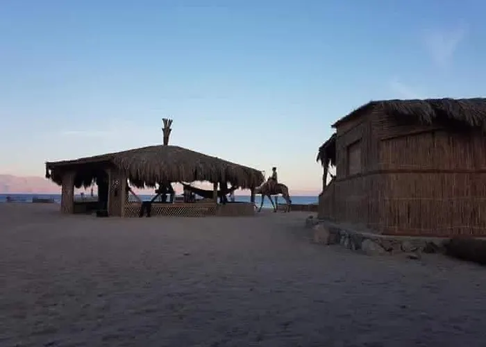 La Basha Camp